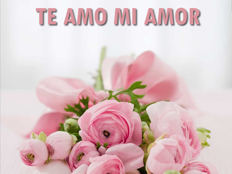 Foto de Amor: Foto de Amor Whatsapp