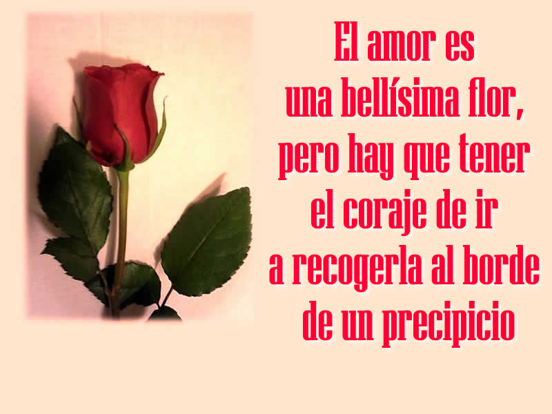 Imágenes de amor bonitas