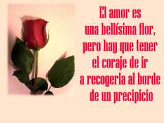 Imágenes de amor bonitas