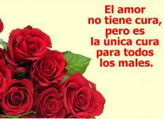 Foto de amor con frases