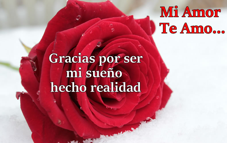 Foto de Amor: Te Amo